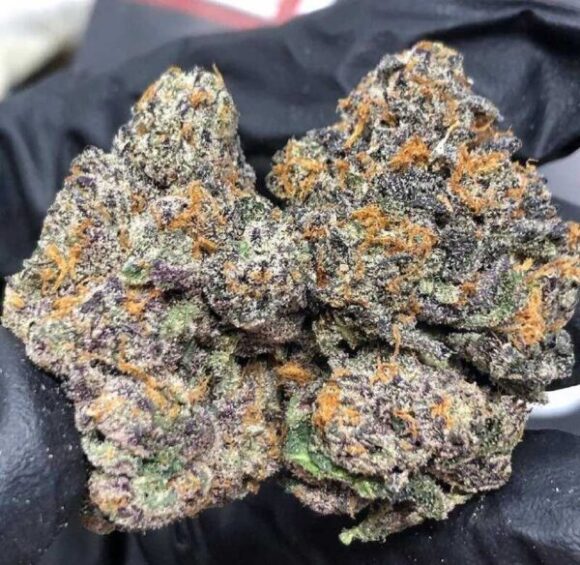Buy Gelato Weed Strain Online